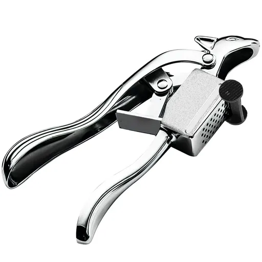 Stainless Steel Garlic Press Set for Easy Mincing and Crushing Garlic Kitchen Tool Silver