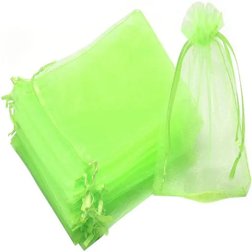 100 PCS Fruit Protection Netting Bags for Trees, 3.9x5.9 Inch Garden Reusable Mesh Barrier to Protect Plants from Birds Squirrels