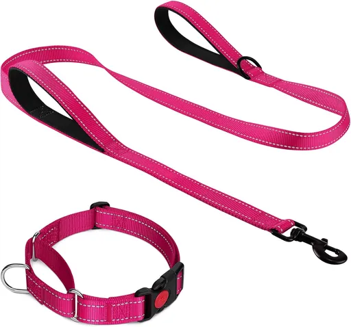 Martingale Dog Collar(16-20"), 6FT Double Handle Leash for Training, Hotpink -