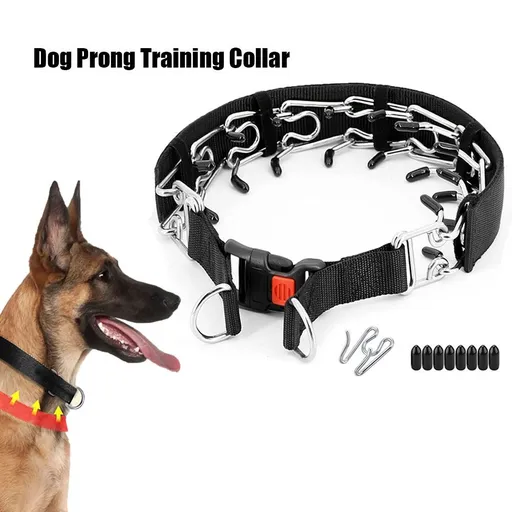 Heavy-Duty Dog Training Spike Collar with Durable Nylon Webbing, Chrome-Plated Pins & Quick-Release Buckle for Behavioral Correction, Leash Control, and Daily Walks in Multiple Sizes (Black, M)