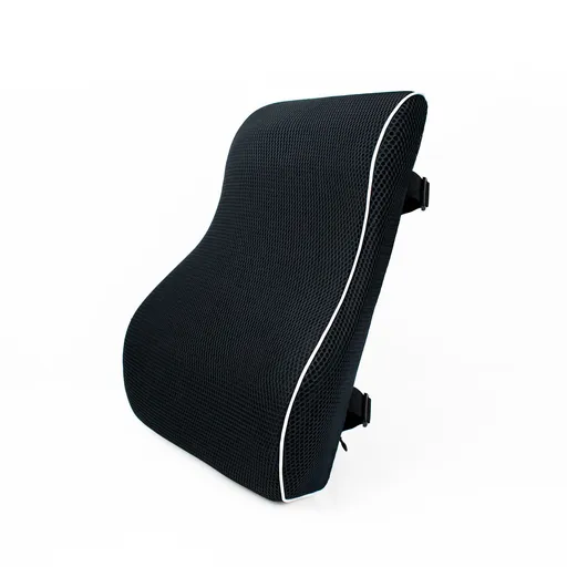 Black 45x40x10cm Memory Foam Lumbar Support Cushion - Polyester Mesh Cover, Adjustable Straps, Back Rest for Office Chair and Car Seat, Posture Relief for Prolonged Sitting