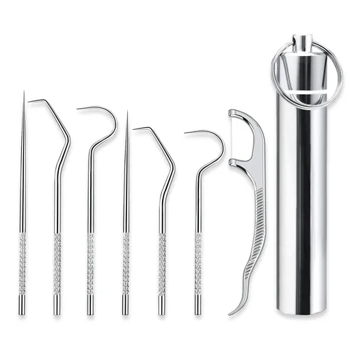 Metal Toothpicks for Teeth Set (7Pcs ), Portable Reusable Stainless Steel Toothpicks Pocket Set with Holder Dispenser, Fruit Picks