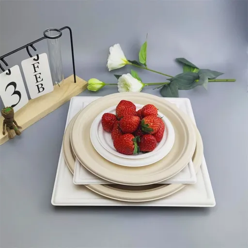 Small White Paper Plates,Bulk Disposable Compostable Plates, Small Cake Plates, Appetizer Dessert Plates, Eco-Friendly Sugarcane Pulp Plates, Party Supplies, Pie Plates