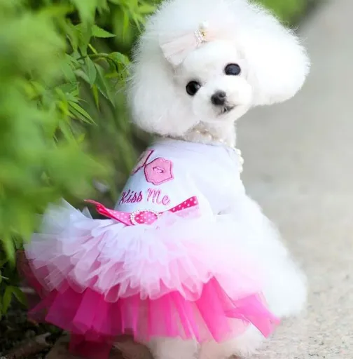 Dog Cat Vest Skirt Striped Mesh Summer Pink lip skirt XL (bust 50CM recommended weight 4.50 kg-5.50 kg