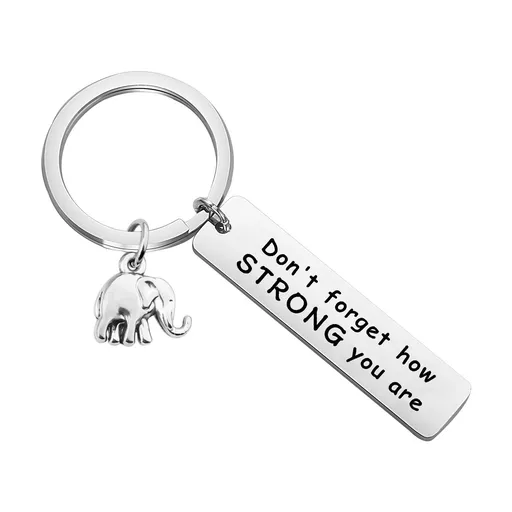 Elephant Keychain Never Forget How Strong You Are Strength Jewelry Uplifting Gift For Friend Family Animal Lovers