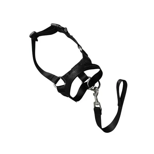 Black Dog Training Head Collar Halter Stop Pulling Training Tool Harness Strap Leader - M