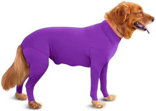 Shine Dog Cat Four Leg Clothes Polyester Four Legs Stretch Sexy Clothes Purple 2XL (chest circumference 76 back length 68cm)