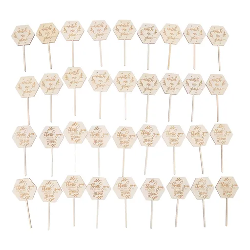 36pcs Watch Me Grow Succulent Tags Safe Eco Friendly Wooden Hexagonal Succulent Tags for Flower Pot Decoration Plant