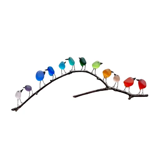 Coastal Love Notes，Coastal Love Notes New Sea Glass Rainbow Birds， Lovers,Friend Birthday (12 pieces)