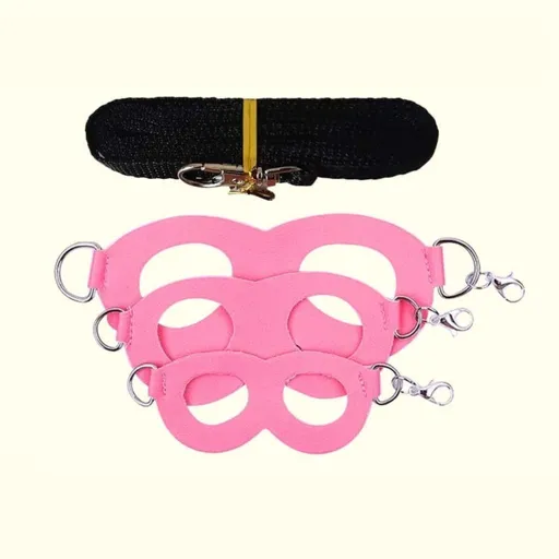 2-Pack Pink Small Mammal Harness Set – 6 Pcs (S/M/L ×2) + 2×1.5m Leashes for Secure Outdoor Handling