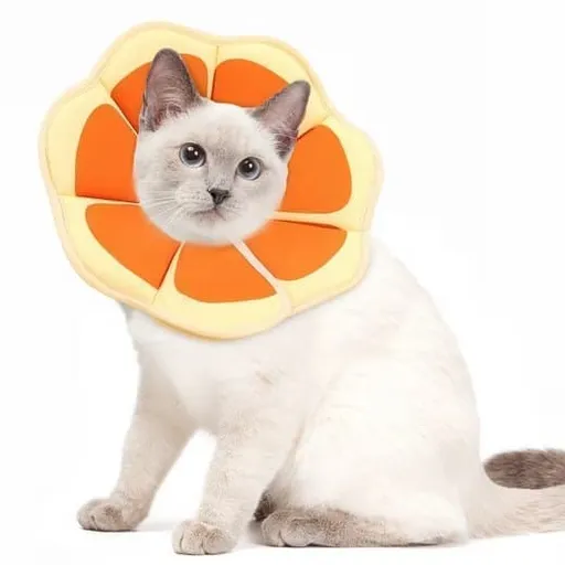 Recovery Collar for Cats and Dogs Adjustable Neck Collar Velcro Soft Foam Orange S
