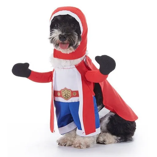 Interactive Party Ornament For Pets, Holiday Worn Decor For Halloween Christmas Fun Festivities, Size S