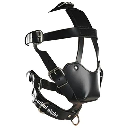 House Of Dasein Ball Gag Head Harness Mask Muzzle Blindfold Bondage Kink Bdsm Fetish Restraints - Style H