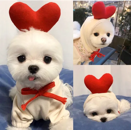 Pet Two Legged Clothes Cotton Fleece Hooded Sweatshirt Drawstring white love sweater L (bust 53CM about 5.50kg)