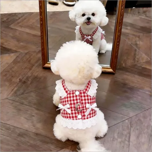 AMOOR Dog Summer Dress Lace Polka Dot Lace Plaid Skirt [Red] XS