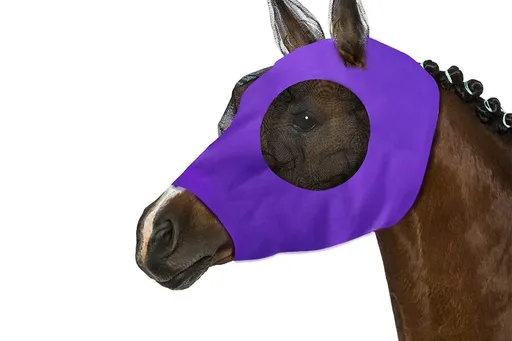 Horse Fly Mask with Ears -Purple