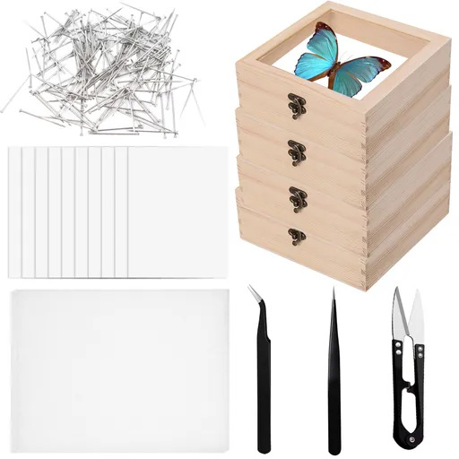 4 PCS Insect Specimen Tools Kit 4 Wooden Display Case Box with Clear Top Paper Scissors Tools for Bugs Collection