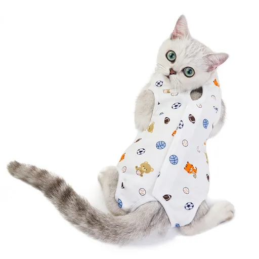 Ada Cat Post Surgery Recovery Clothes Cotton Football L