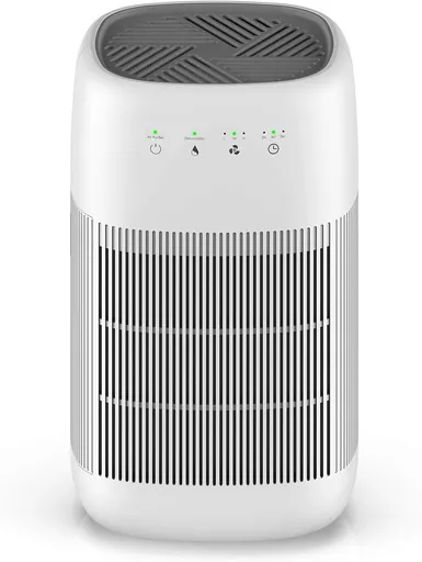 Air Purifier Dehumidifier Q10 HEPA Filter