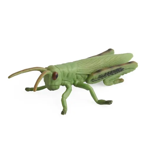 5 pcs Realistic Animal Figures Beetle Figurines Insect Toy, Science Project, Cake Topper, Early Educational Toys