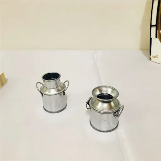 2pcs Doll House Tin Bucket Dollhouse Metal Pitcher Cactus Pot Tiny Milk Jug Mini Tinplate Bucket Pails Tiny Vase Models