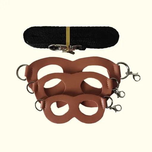 2-Pack dark brown Small Mammal Harness Set – 6 Pcs (S/M/L ×2) + 2×1.5m Leashes for Secure Outdoor Handling