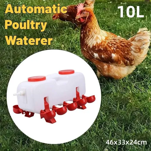 10L Chicken Poultry Automatic Drinking Tank Drinker Feeding Pot Water Dispenser