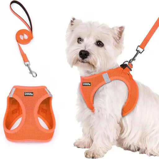 Orange Breathable Dog Harness and Leash Set - Adjustable Reflective Pet Vest with Swivel Clip(Size: S)