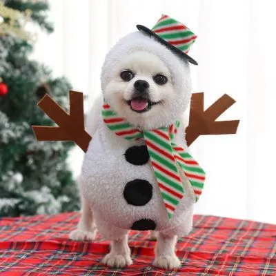 Pet Halloween Costume Small Medium Dog Cat Stand-Up Snowman Transformation Suit M (bust 50-60cm)