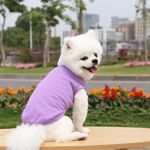 Cotton Pet Vest Clothing for Dogs and Cats by shine Pure cotton vest pure purple 2XL bust 55 back length 42cm