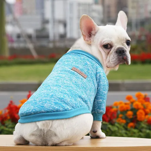 Pet Sweatshirt for Dogs and Cats by shine New size classic woolen sweater yuelan XS (bust 30 back length 20cm)