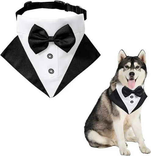 Adjustable Pet Bow Tie for Weddings and Parties, Size L
