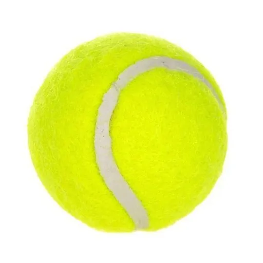 6-Pack 2inch Yellow Dog Tennis Balls