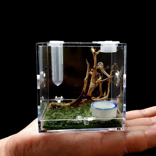 Spider Acrylic Reptile Breeding Box Jumping Spider Enclosure with Dropper Tongs Snail cage