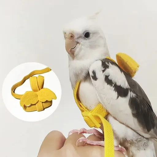 Pet Parrot Bird Harness and Leash, Adjustable Bird Flying Harness, Bird Nylon Rope with Cute Wing for Parrots for Parrot