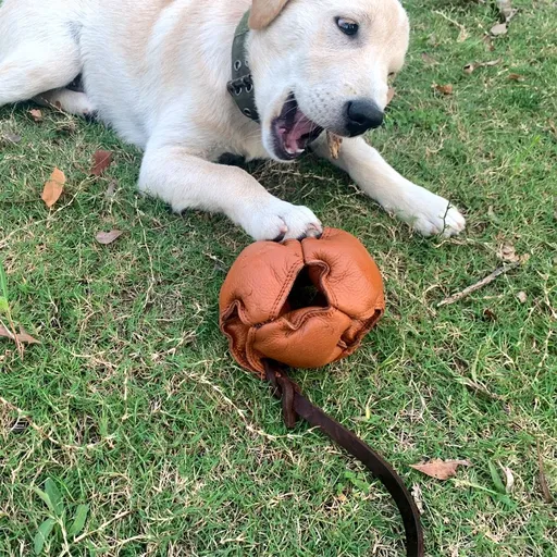 Interactive Leather Chew Ball for Dogs with Durable Rope Handle – Ideal for Puppy Training, Dental Chewing, Outdoor Fetch, and Bonding Play for Small to Medium Breeds (Orange)
