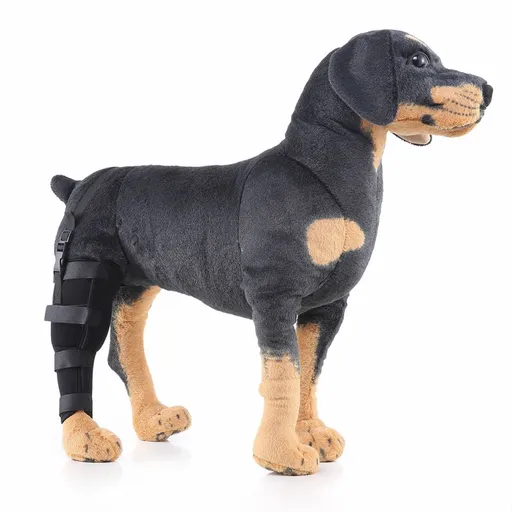 Dog Hind Right Leg Brace for Surgery Recovery, Puppy Rear Leg Protector with Stable Support, Prevents Licking Chewing Wounds, Aids Post-Op Recovery - Black - Size M