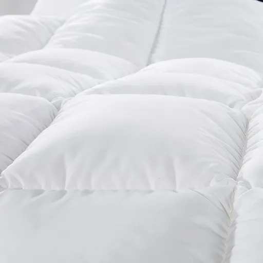 500GSM Soft Goose Feather Down Quilt Duvet 95% Feather 5% Down All-Seasons - Queen - White