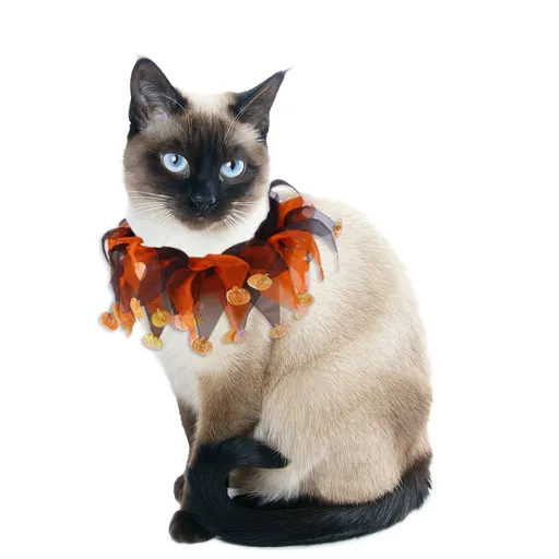 Pet Collar Halloween Decorative Cat Collar Halloween Cat Collar Cat and Dog Supplies Dog Collar Decorative Necklace