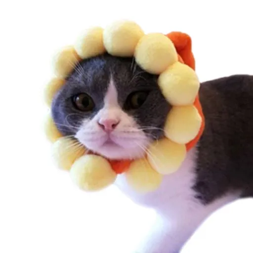 Sun Flower Shape Adorable Pet Hat, Adjustable Plush Pet Headwear, Cute Pet Cap Pet Costume Hat for Pet Cat Small Dog