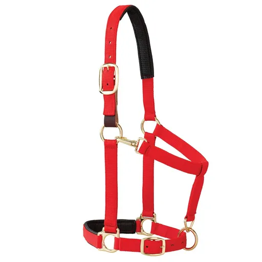 Equine Breakaway Horse Halter, Comfort Foam Padding, Adjustable Chin & Throat Snap Halters for Horses, Red（Medium (1.2-1.3 meters for horses)）