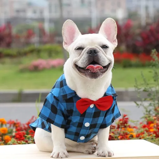 Shine Dog Plaid Shirt Polyester Two-legged Clothes Blue and Black Plaid Bow-tie Shirt 2XL bust 58 back length 40cm
