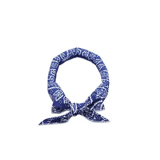 Bandana Headband Cooler Scarf Neck Ice Scarf Wrap Deluxe Outdoor Sport Cooling - Blue