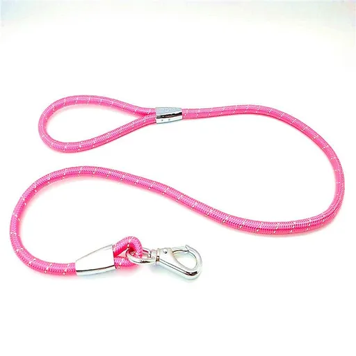 Zichen Nylon Dog Traction Rope Alloy Buckle Powder 0.6