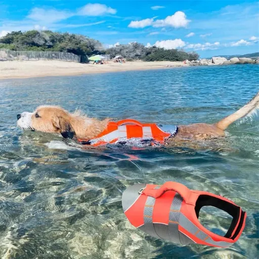 Dog Life Jacket Pet Swim Vest with Rescue Handle Reflective Strips Adjustable Quick Release Buckle for Beach River Lake Boating and Water Play Safety (2M, Orange)