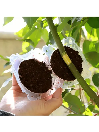 5Pcs Plant Root Growing Box Propagation Ball Reusable Grafting Device Garden Plant Rooting Ball incubator Tree Grafting Rooting Device Plant Fast Growth Air Layering Pod M(8CM)