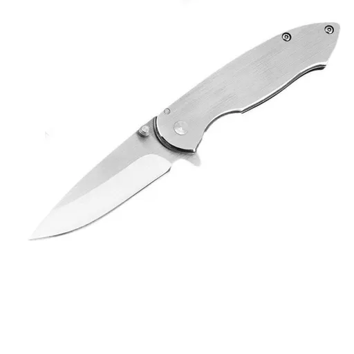 Folding Knife Pyrite Balde and Stainless Steel Handle Button Lock Pocket Knife with Clip Silver Liner Lock