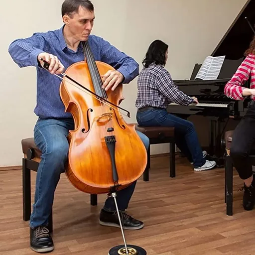 2Pcs Black Cello Stands with Anti- Base and Floor Protector