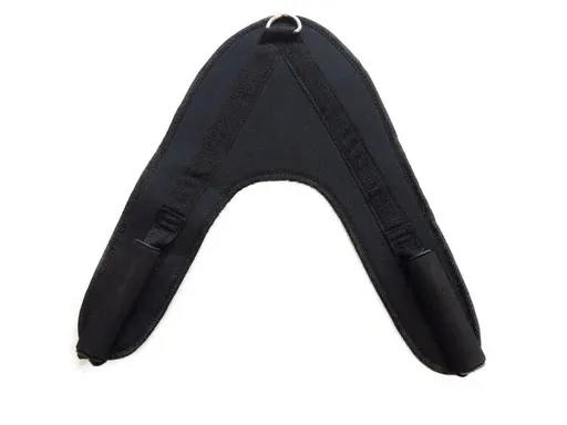 Ab Crunch Harness