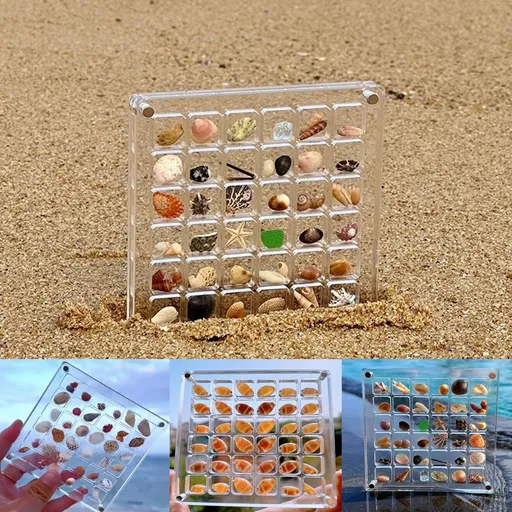 Acrylic Magnetic Display Box, Seashell Storage Box Display Case Decorative , Small Craft Organizers Container (Square, 36 Grids)